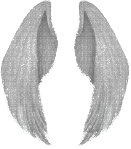 Y.A.M._Angel wings - 無料のアニメーション GIF