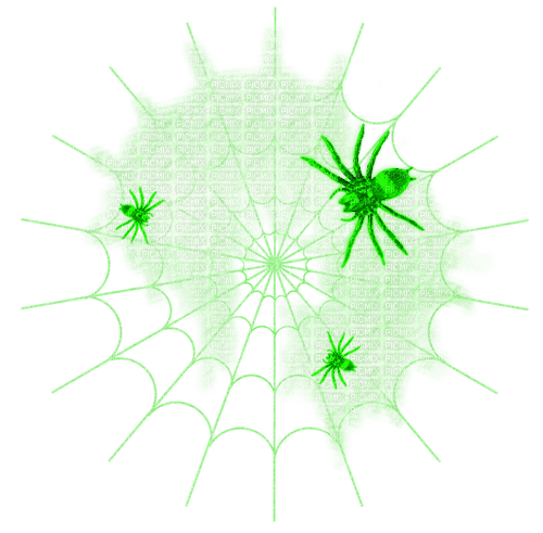 Spiders.Web.Green - PNG gratuit