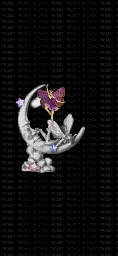 fairy on a moon - bezmaksas png