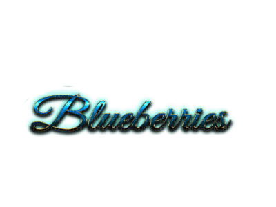 blueberries bp - png ฟรี