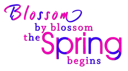 Spring.Text.Pink.Blue - zdarma png