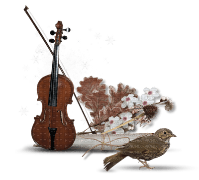 patymirabelle instrument musique - Free PNG