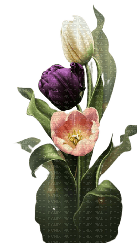 fleurs tulipe - PNG gratuit