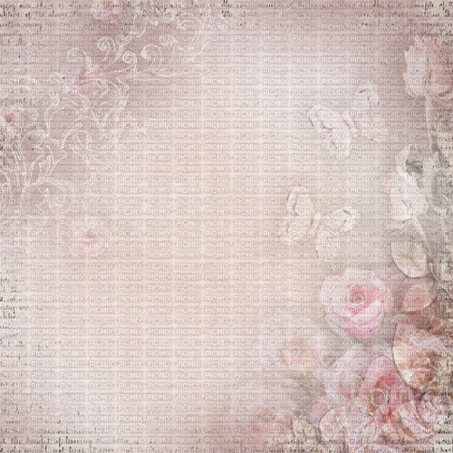 bg-rosa-blommor--pink--flowers - фрее пнг