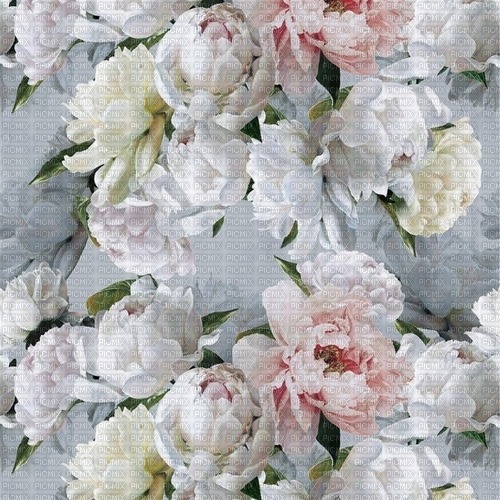 Background Flowers - png ฟรี