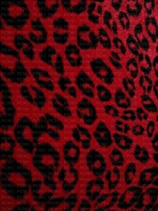 leopard print - фрее пнг