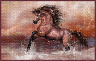 horse bp - Δωρεάν κινούμενο GIF