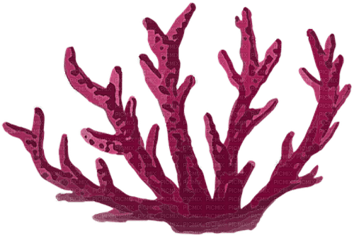 dolceluna purple sea deco coral summer - PNG gratuit