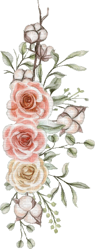 sm3 spring rose roses flower gif pink - GIF animate gratis