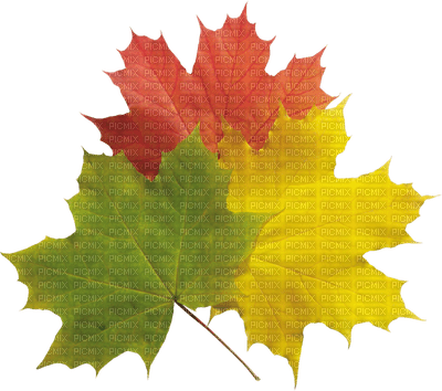 Automne - Free PNG
