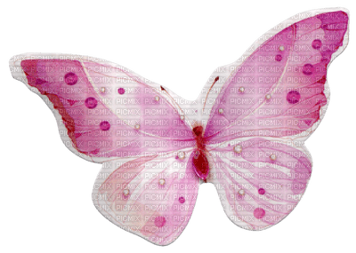 pink butterfly - png gratuito