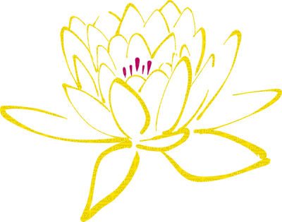 lotus flowers bp - png gratis