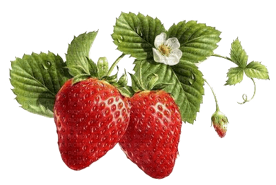 Erdbeeren - kostenlos png