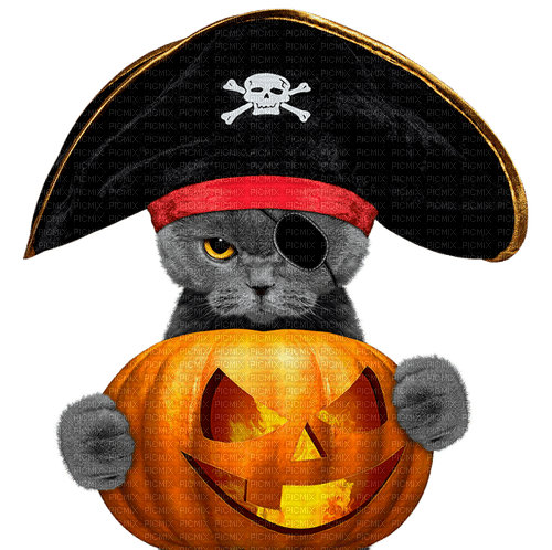 halloween cat by nataliplus - zadarmo png