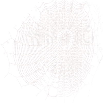 spiderweb - zadarmo png