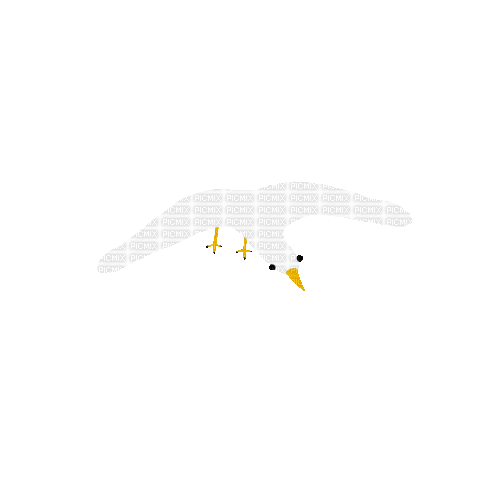 Mouette.Seagull.Gaviota.gif.Victoriabea - Darmowy animowany GIF