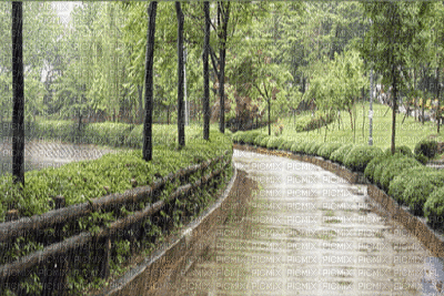 MMarcia gif paisagem chuva - Gratis animerad GIF