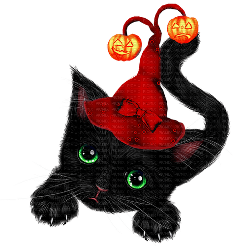 Cat.Witch.Black.Orange.Red - Free PNG