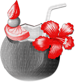 soave deco summer tropical flowers fruit cocktail - PNG gratuit