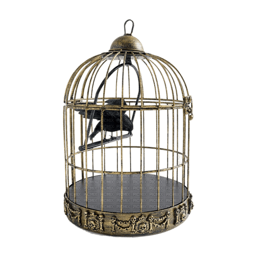 kikkapink deco scrap cage - PNG gratuit