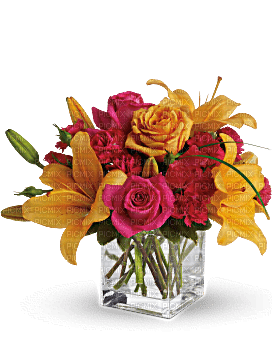 Kaz_Creations  Deco Flowers Vase Colours - png gratis