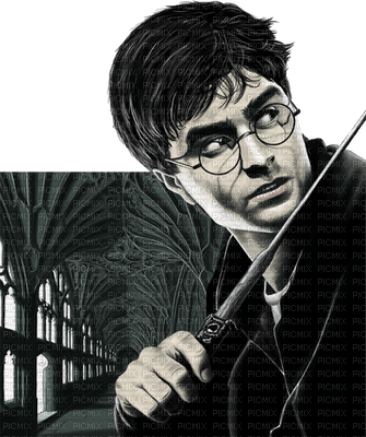 harry potter 🤍 - Free PNG