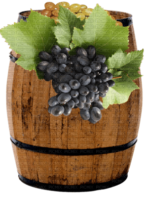 Wine Barrel Grapes - Bogusia - gratis png