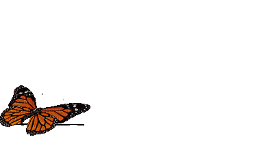 butterfly whit schlappi50 - Nemokamas animacinis gif