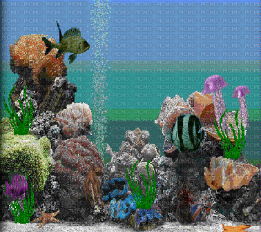 fish bp - 無料のアニメーション GIF
