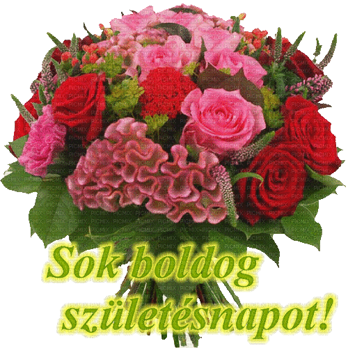 Boldog Szülinapot! - 無料のアニメーション GIF
