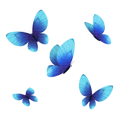 blue butterflies - zdarma png