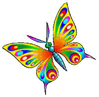 butterfly - Bezmaksas animēts GIF