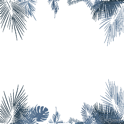 soave frame animated leaves tropical palm summer - Δωρεάν κινούμενο GIF