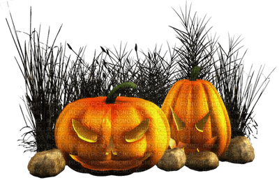 Kaz_Creations  Pumpkins Halloween Autumn - zadarmo png