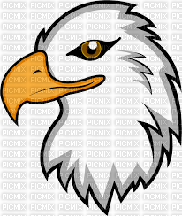 eagle - ücretsiz png