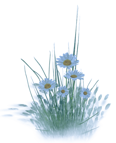 flores transparentes dubravka4 - darmowe png