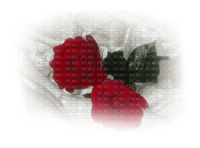 tube rose rouge - 免费PNG