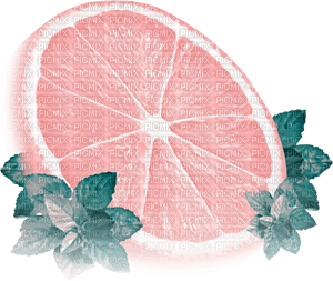 soave deco summer fruit pink teal - Free PNG