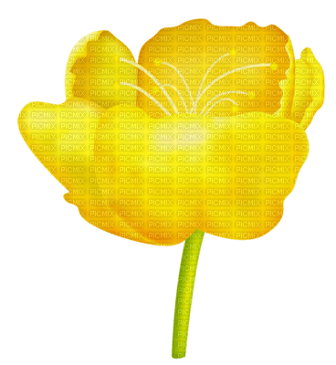 yellow flower - zdarma png