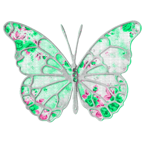 Vintage.Butterfly.Green.Pink - Free PNG