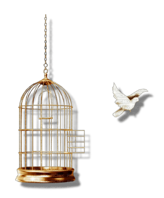 bird cage anastasia - ücretsiz png