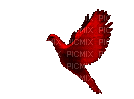 pajaro rojo gif  dubravka4 - GIF animado grátis