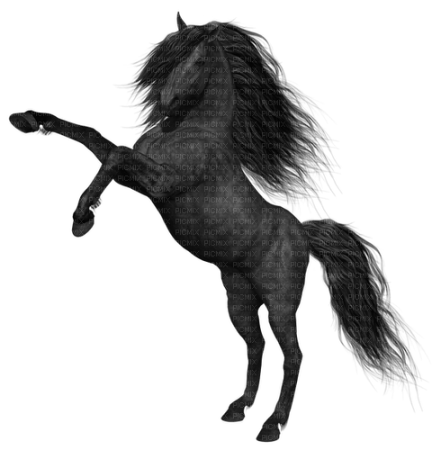 Horse-RM - PNG gratuit
