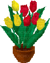 tulipe - GIF animado grátis