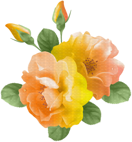 roses Bb2 - бесплатно png