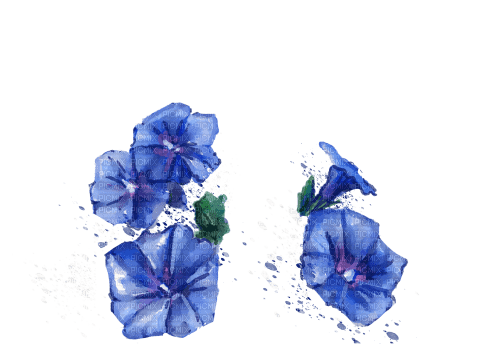 Blue Flowers - png gratuito