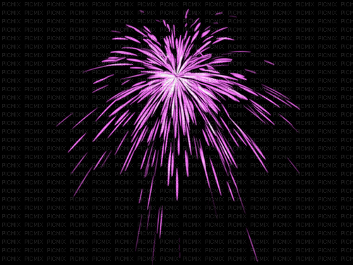 background firework pink - Darmowy animowany GIF