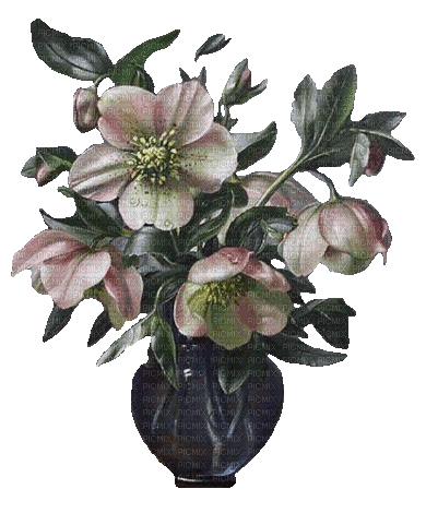 Christrosen, Vase - 免费动画 GIF
