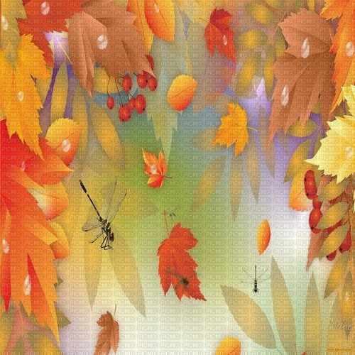 autumn - zdarma png
