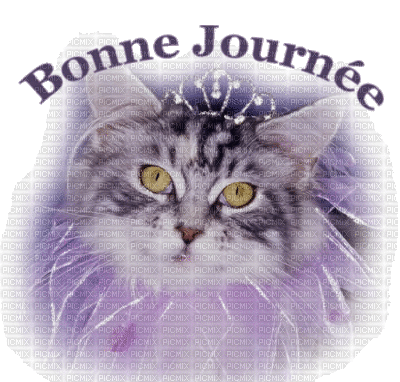 bonne journée princesse des chats - Бесплатный анимированный гифка